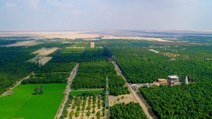 مشروع زراعة 1640 فدان شرق الإسماعيلية