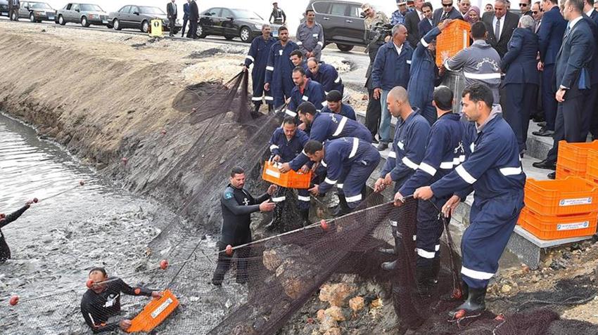 الرئيس يفتتح المرحلة الثانية من مشروع الاستزراع السمكى شرق القناة