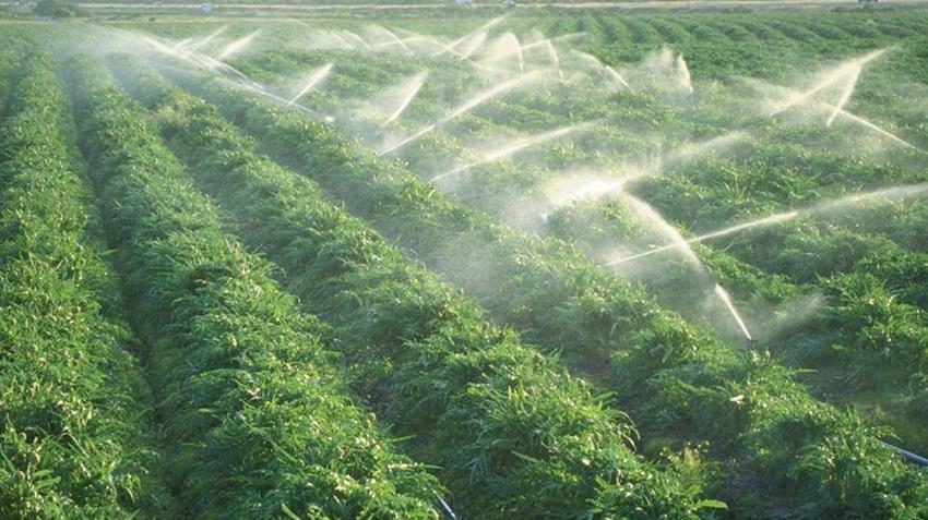 البنية الأساسية لاستصلاح مساحة 21 ألف فدان بالفرافرة