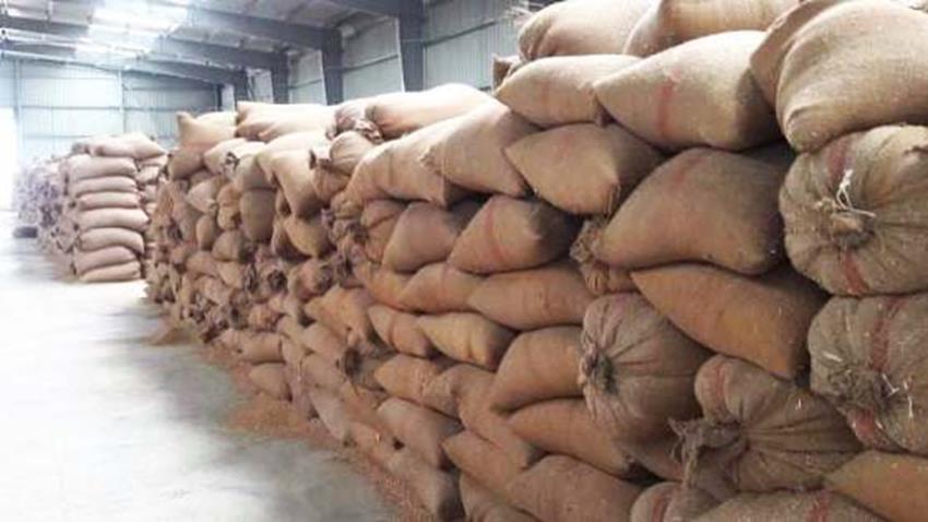 Grains Storehouse in Samalout, Minya Governorate