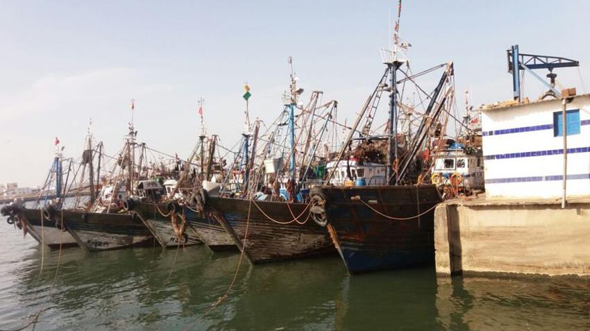 ١٢ سفينة صيد ضمن أسطول الصيد للشباب‎