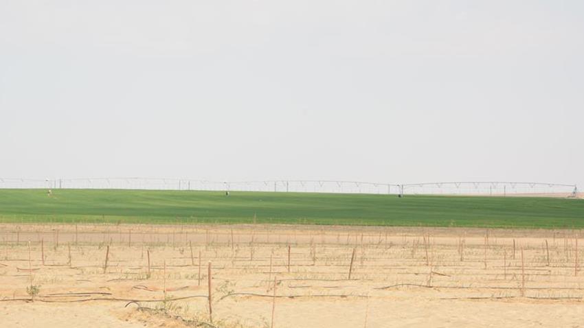 إطلاق مشروع تنمية واستصلاح 1,5 مليون فدان بالفرافرة