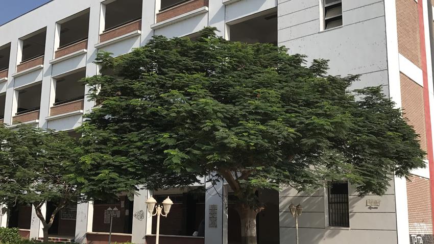إنشاء كلية حقوق بجامعة المنيا