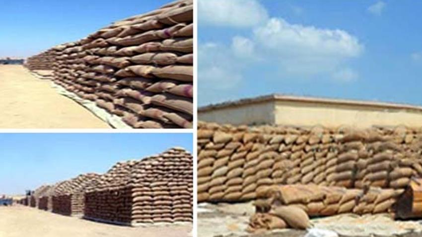 شونة "مجمع السلام" بالعامرية بمحافظة الإسكندرية