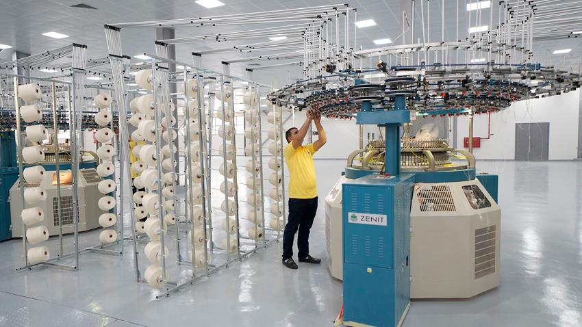 مصنع التريكو الدائري