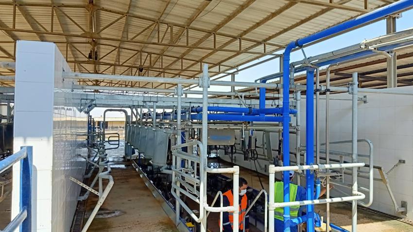 إنشاء محطة الإنتاج الحيواني لتصنيع الألبان بالنوبارية بمحافظة البحيرة