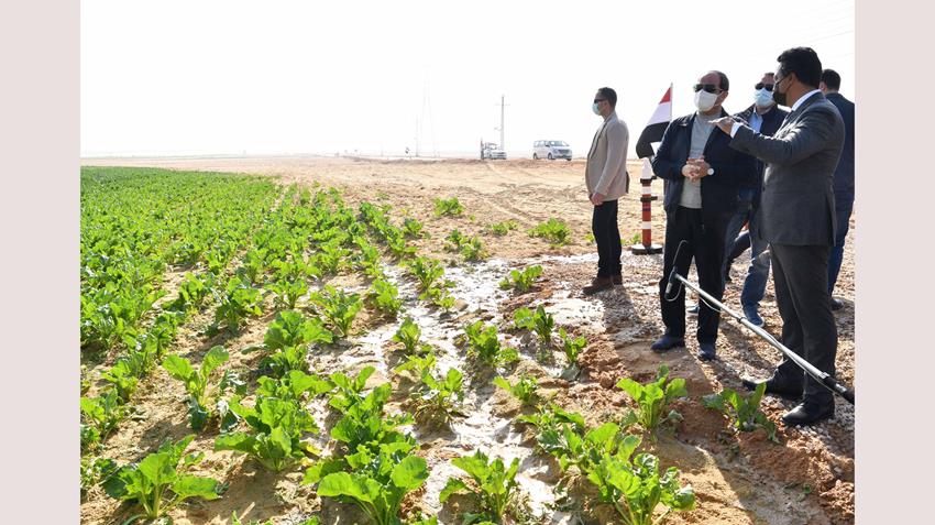 الرئيس عبد الفتاح السيسي يتفقد مشروع مستقبل مصر للإنتاج الزراعي 08/01/2021
