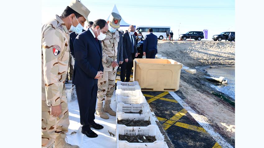 الرئيس عبد الفتاح السيسي يفتتح مشروع الفيروز للاستزراع السمكي بشرق التفريعة بمحافظة بورسعيد
