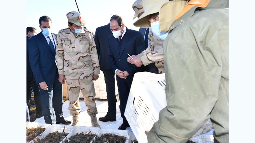 الرئيس عبد الفتاح السيسي يفتتح مشروع الفيروز للاستزراع السمكي بشرق التفريعة بمحافظة بورسعيد