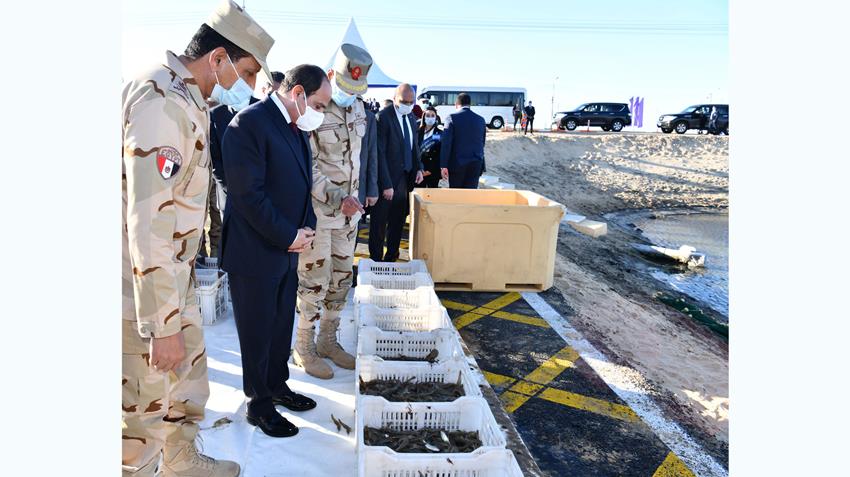 Le Président Al-Sissi inaugure le projet d'Al-Fayrouz pour la pisiculture à Port Saïd