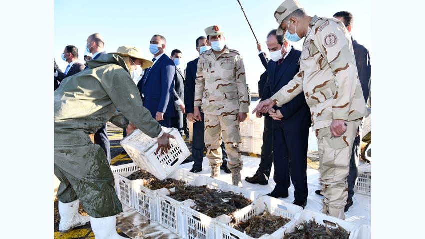 Le Président Al-Sissi inaugure le projet d'Al-Fayrouz pour la pisiculture à Port Saïd