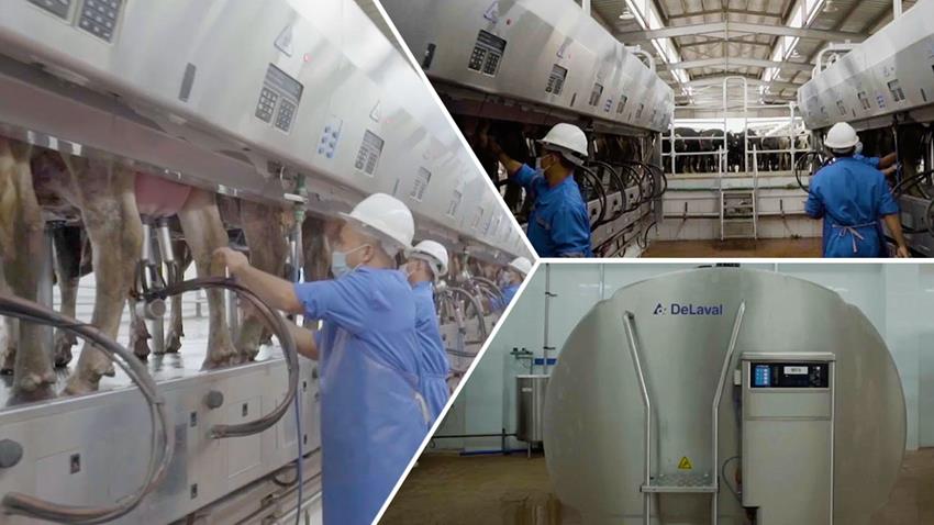 افتتاح مجمع إنتاج الألبان رقم 1 بالنوبارية محافظة البحيرة