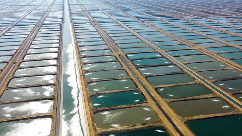 افتتاح المرحلة الأولى من مشروع الفيروز للاستزراع السمكي شرق التفريعة بمحافظة بورسعيد