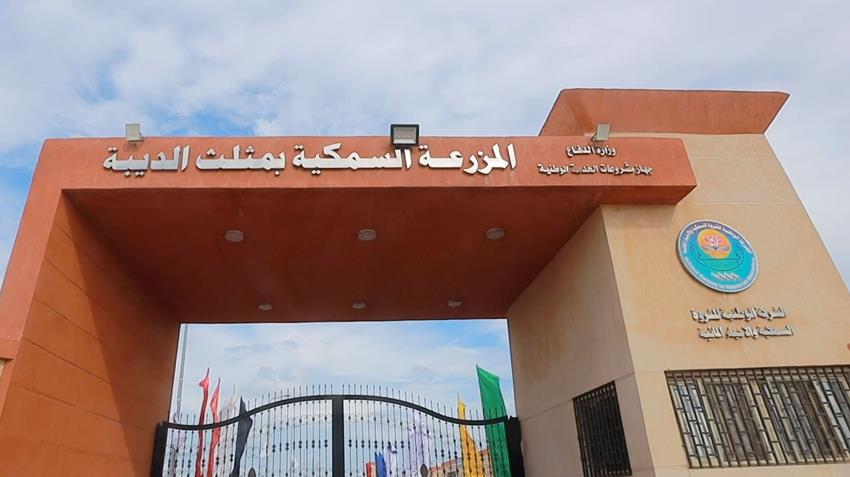 افتتاح المزرعة السمكية بمثلث الديبة غرب بورسعيد