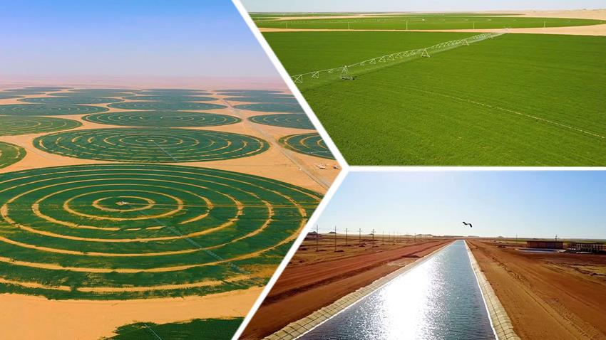 مشاريع توشكي والوادي الجديد