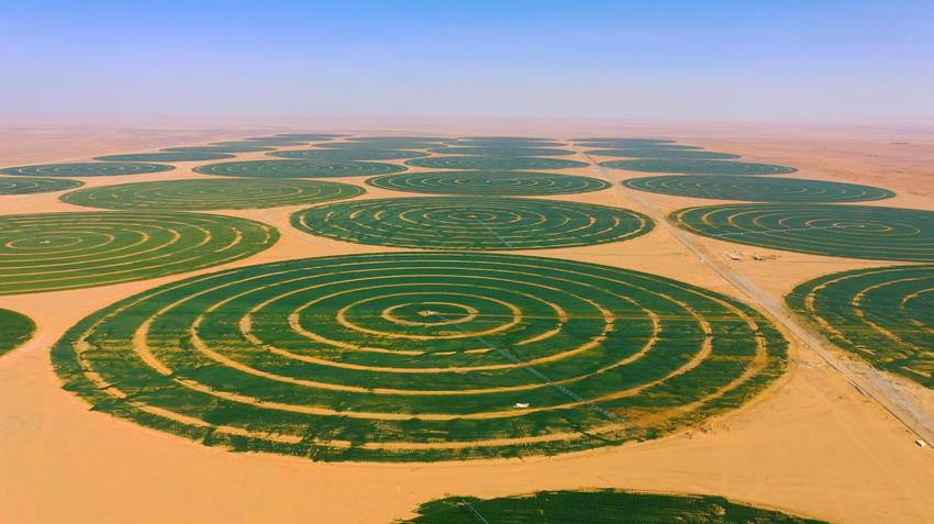 إنشاء مشاريع توشكي والوادي الجديد