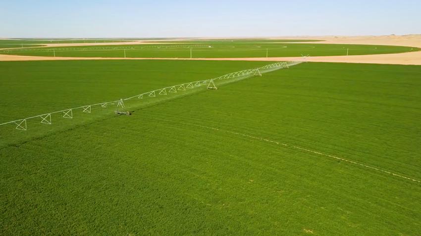 إنشاء مشاريع توشكي والوادي الجديد