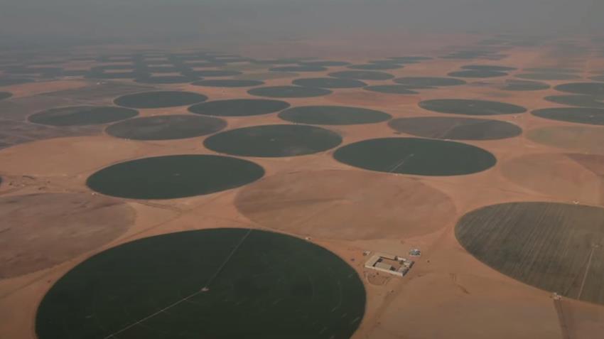 إنشاء مشروع الدلتا الجديدة 31-3-2021