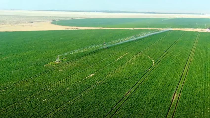 إنشاء مشروع الدلتا الجديدة 31-3-2021