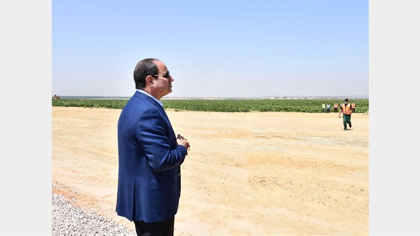 Le Président Al-Sissi inspecte la saison de la récolte agricole du projet "Le Futur d'Égypte"