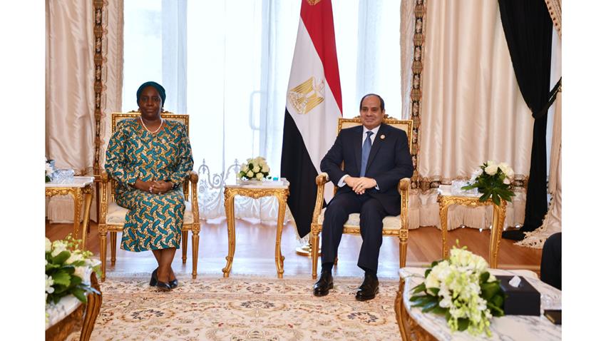 الرئيس عبد الفتاح السيسي يلتقي سكرتير عام منظمة الكوميسا