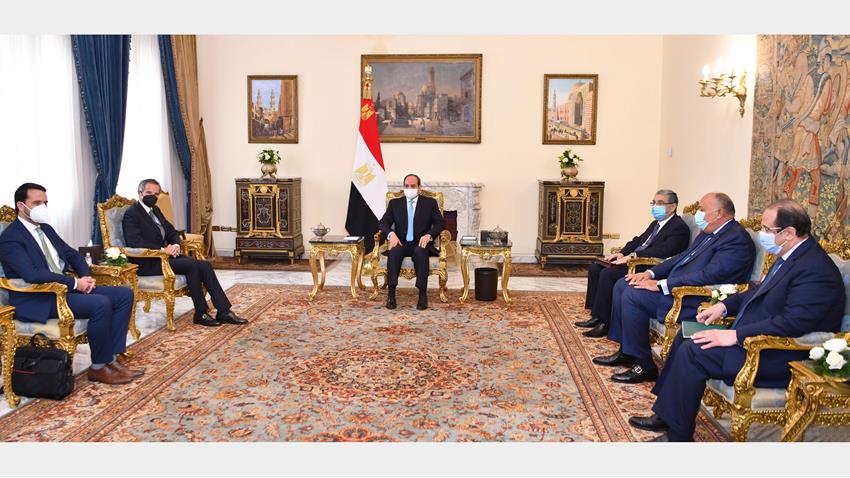 الرئيس عبد الفتاح السيسي يستقبل مدير عام الوكالة الدولية للطاقة الذرية