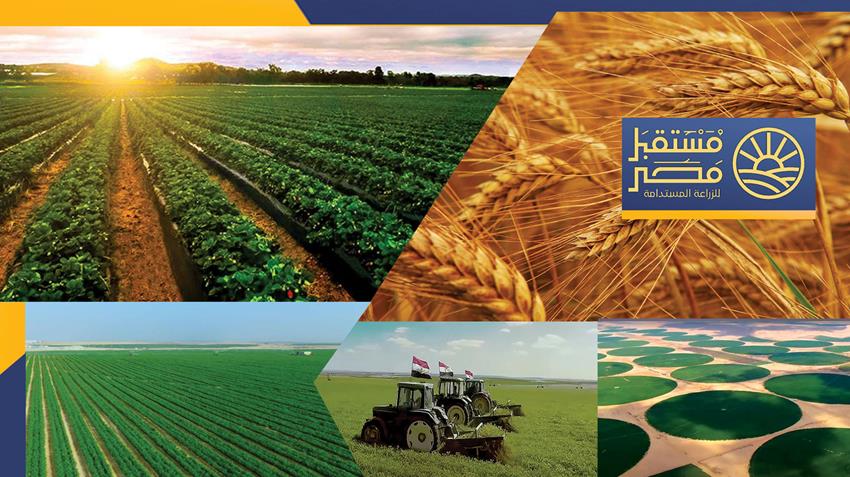 افتتاح مشروع مستقبل مصر للزراعة المستدامة