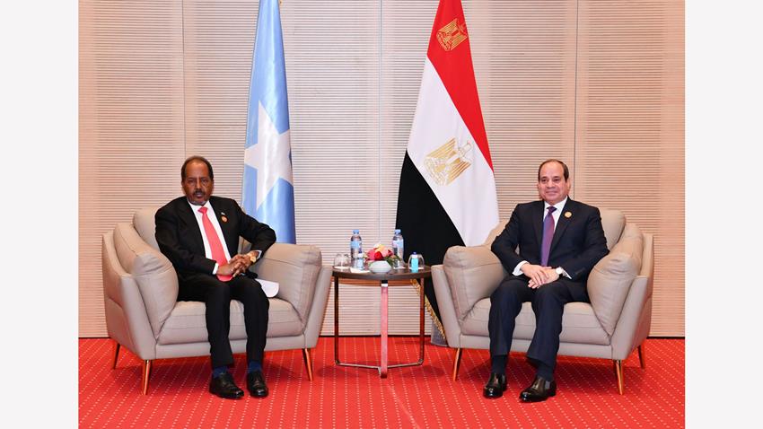 الرئيس عبد الفتاح السيسي يلتقي الرئيس الصومالي بالجزائر