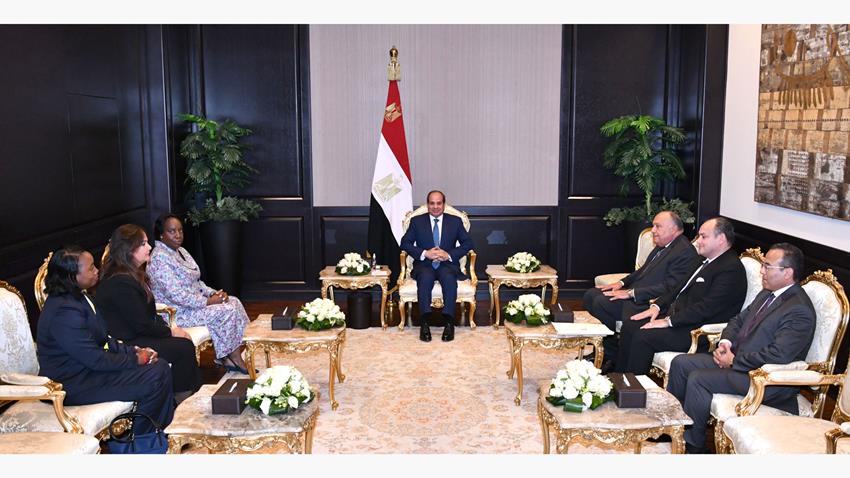 الرئيس عبد الفتاح السيسي يلتقي سكرتير عام منظمة الكوميسا