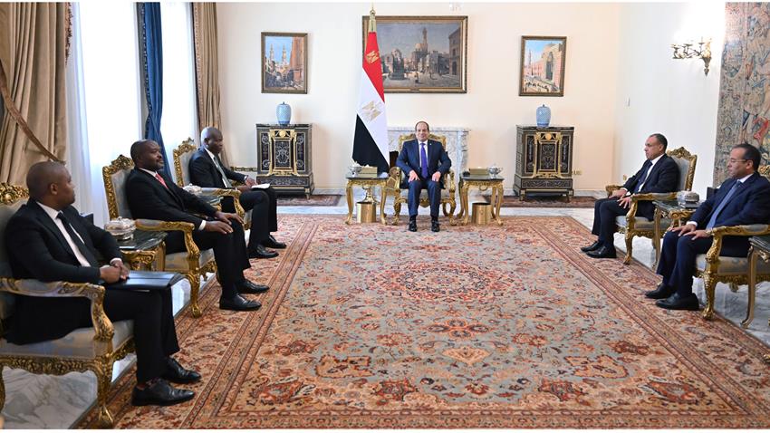 الرئيس عبد الفتاح السيسي يستقبل وزير العلاقات الدولية والتعاون الدولي بجنوب أفريقيا