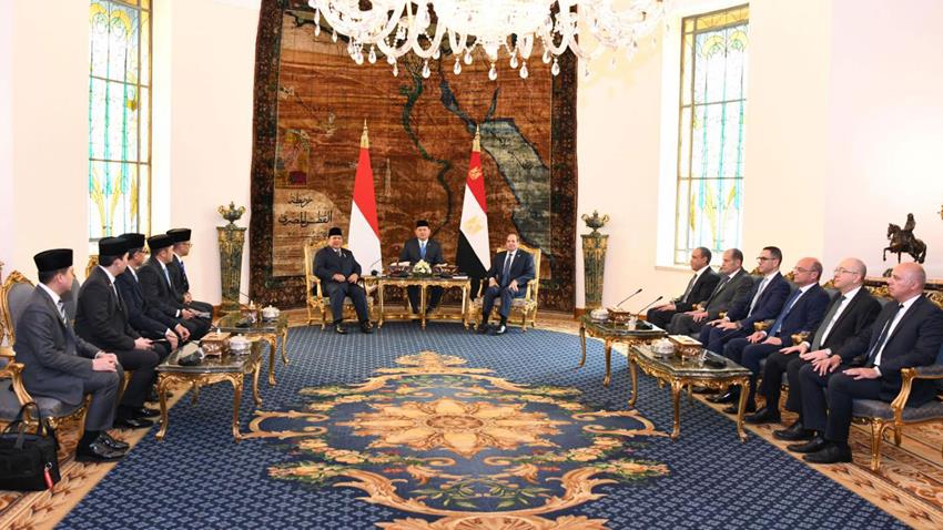 President El-Sisi Holds Talks with Indonesian President