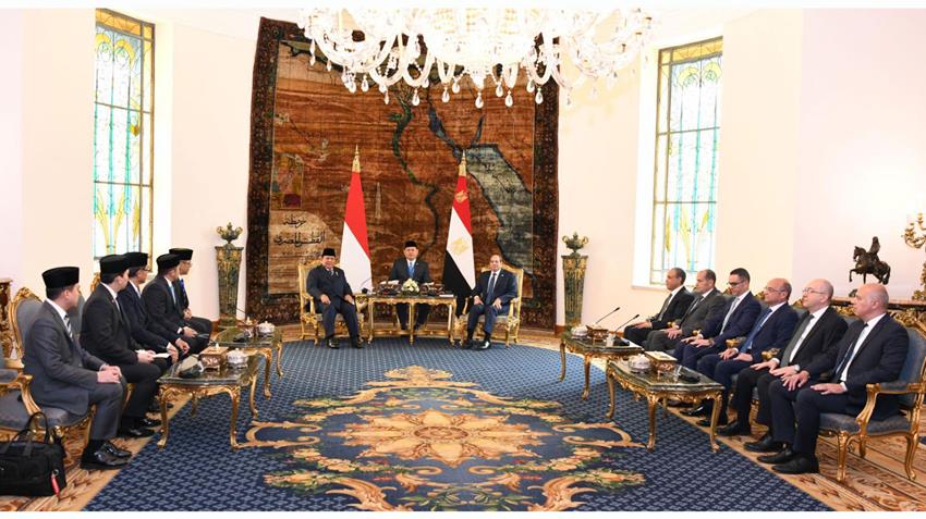Le Président Al-Sissi tient des pourparlers avec le président d'Indonésie