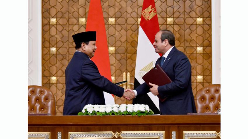 President El-Sisi Holds Talks with Indonesian President
