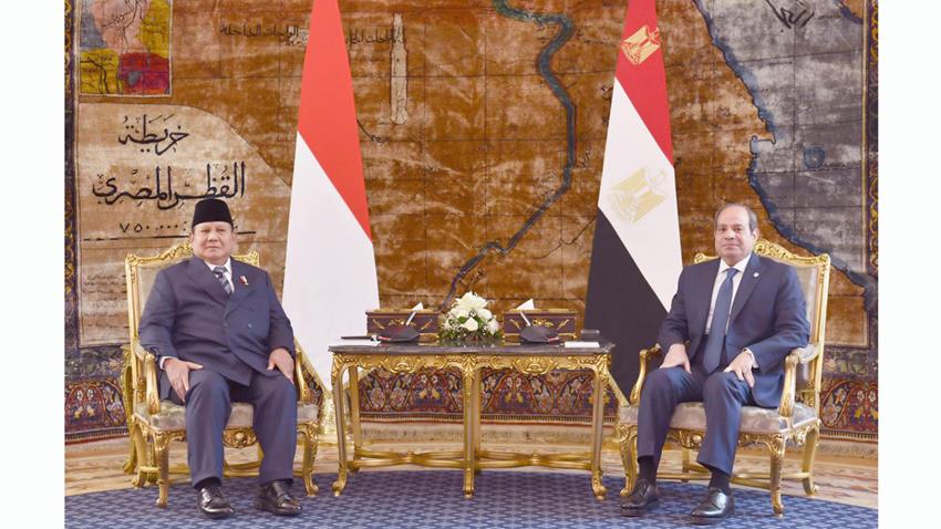 President El-Sisi Holds Talks with Indonesian President