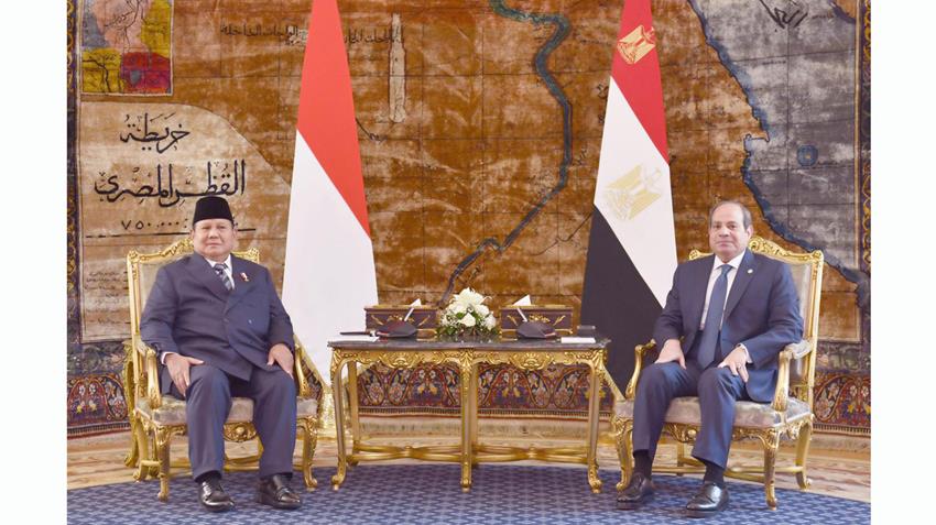 President El-Sisi Holds Talks with Indonesian President