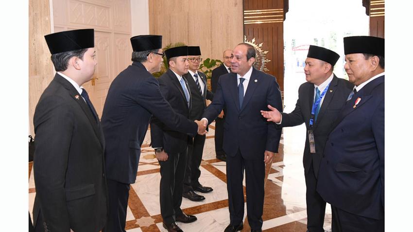 President El-Sisi Holds Talks with Indonesian President