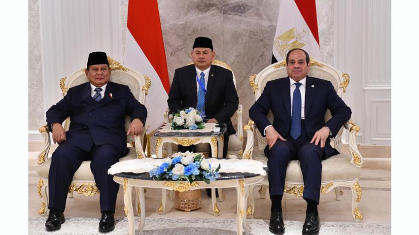 President El-Sisi Holds Talks with Indonesian President
