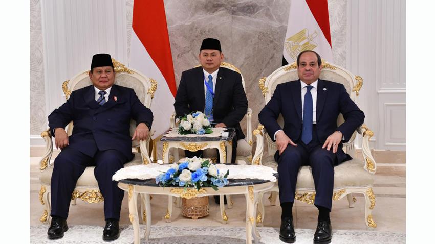 Le Président Al-Sissi tient des pourparlers avec le président d'Indonésie