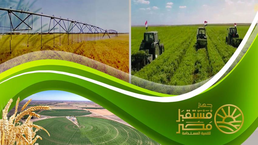 جهاز مستقبل مصر القطاع الجنوبي (مشروع سنابل سونو ١)
