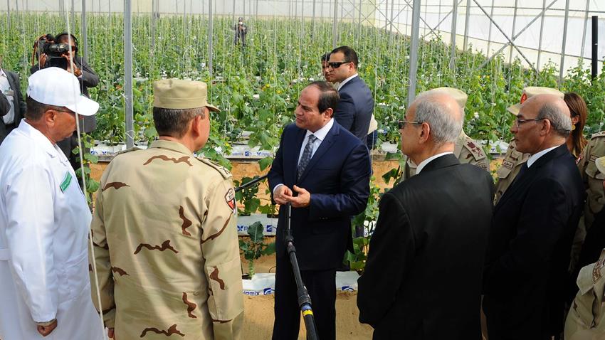 مشروع الصوب الزراعية بقاعدة محمد نجيب