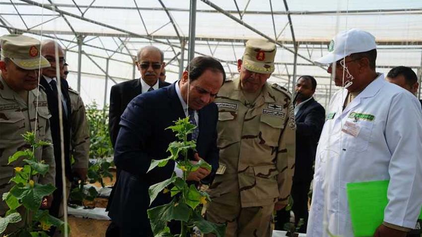 Le projet des serres agricoles à la base militaire de Mohamed Naguib