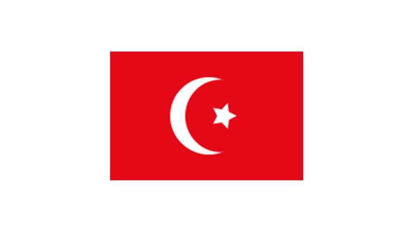 Le drapeau à l'ère de Mohamad Ali et jusqu'à 1867