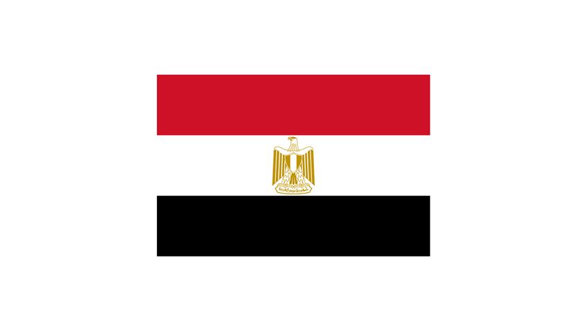 العلم المصري الحالي