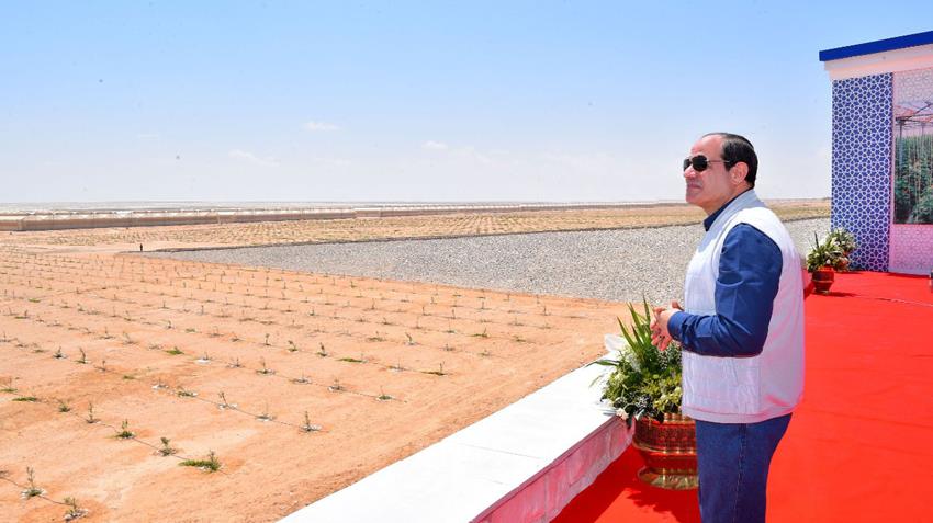 المرحلة الثانية من مشروع الصوب الزراعية بقاعدة محمد نجيب