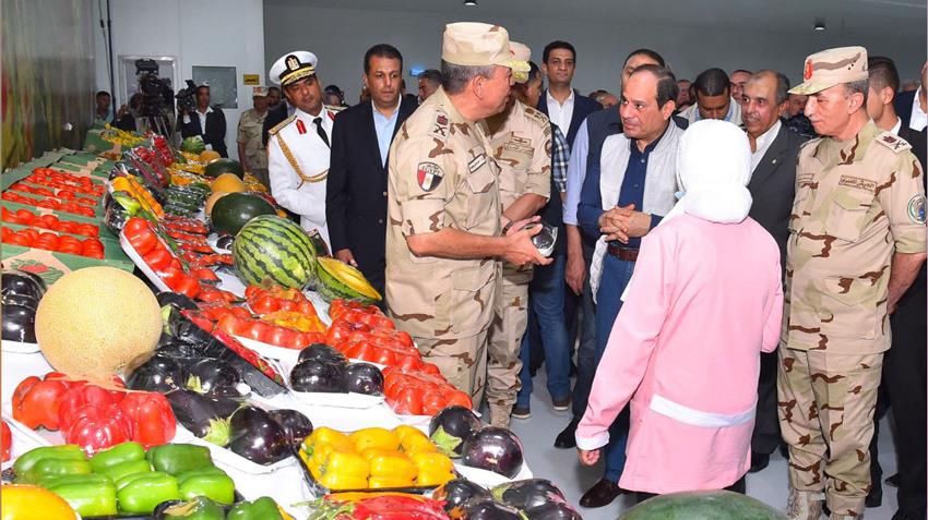 المرحلة الثانية من مشروع الصوب الزراعية بقاعدة محمد نجيب