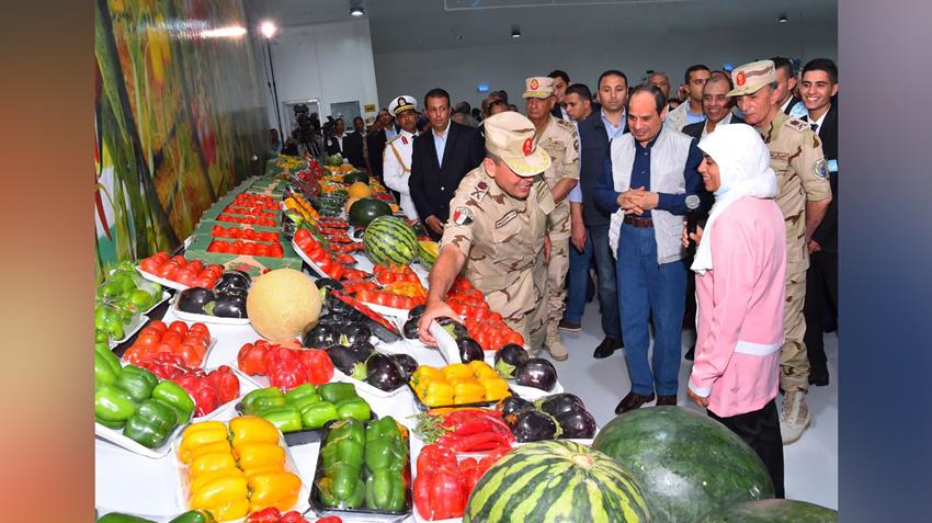 المرحلة الثانية من مشروع الصوب الزراعية بقاعدة محمد نجيب