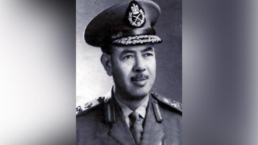 محمد فوزي امين فوزي