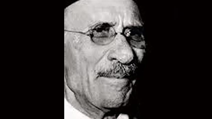 أحمد لطفي السيد