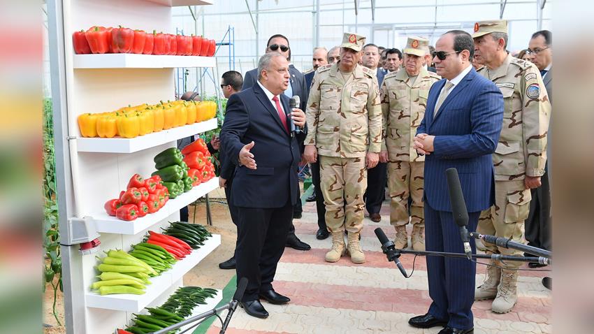 المشروع القومى للصوب الزراعية