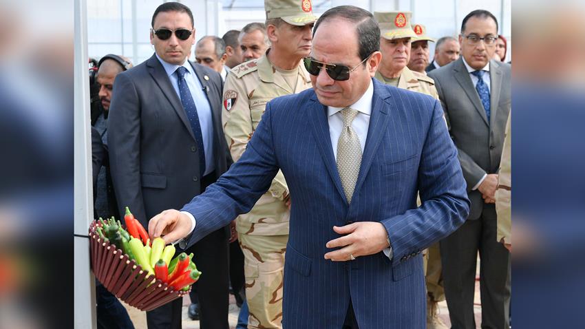 المشروع القومى للصوب الزراعية